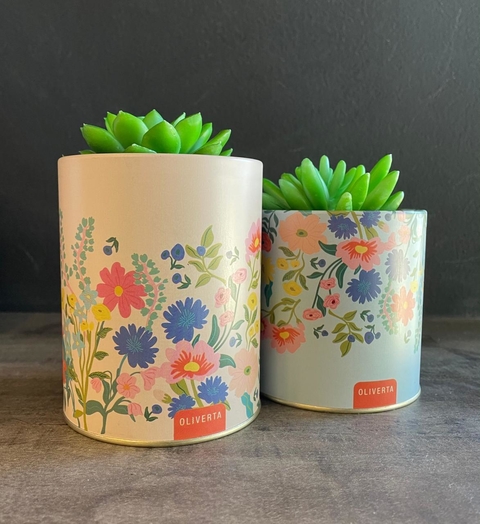 Set de macetas flores 1