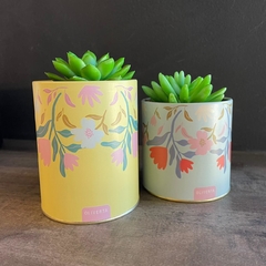 Set de macetas flores 2