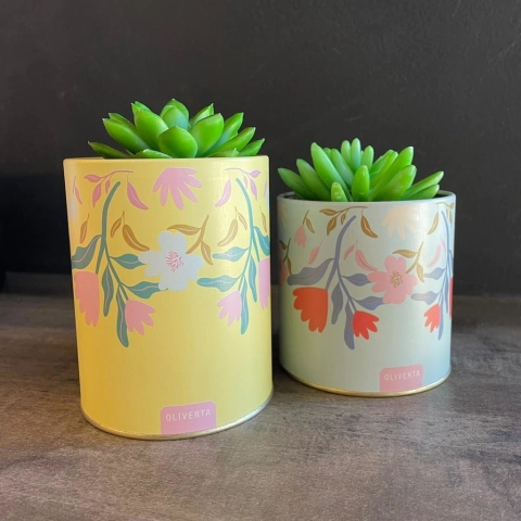 Set de macetas flores 2