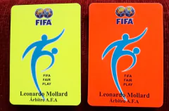 10 Juegos de Tarjetas COLOR Personalizadas en internet