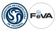 Moneda Sorteo Arbitro De Voley en internet