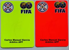10 Juegos de Tarjetas COLOR Personalizadas