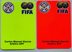 10 Juegos de Tarjetas COLOR Personalizadas
