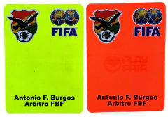 10 Juegos de Tarjetas COLOR Personalizadas