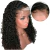 PERUCA FRONT LACE CABELO HUMANO CACHEADO PRONTA ENTREGA - izalacewigs