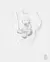 Body Oso Estampado (4937020) - comprar online