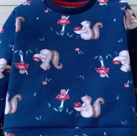 Buzo Ardilla Azul Friza Liviana (ML203020101) - comprar online