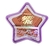 (HBF574st40) Rubor COMPACTO estrella STAY FIX tono ST40