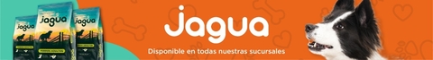 Banner de la categoría Belcan