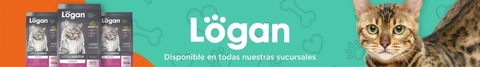 Banner de la categoría Logan