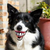 Pelota con Sonrisa de Chifle en internet
