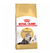 Royal Canin Gato Persian x 1.5 kg. - comprar online