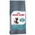 Royal Canin Gato Hairball Care x 1.5 kg.