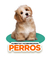 Banner de La Mascotera