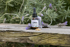 Serum Facial Nutritivo para Pieles Normales