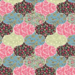 Lamina 01 115