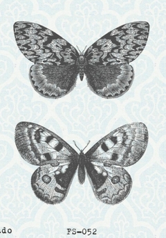 FS-052