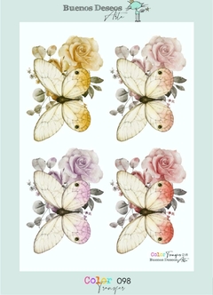 BD Color transfer 098
