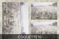 Lamina de seda COQUETTE10
