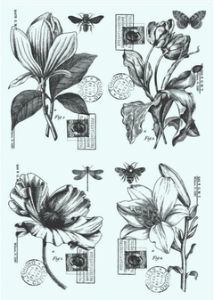 FS 078