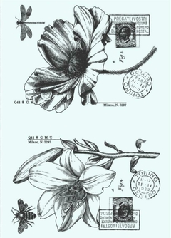 FS 077