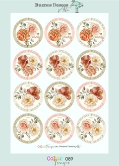 BD Color transfer 089