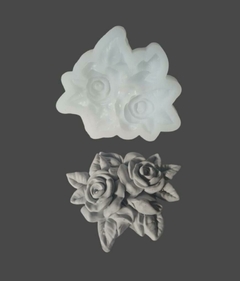 Rosa XS