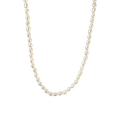 Collar Poesia Perlas de Cultivo Agua Dulce y Plata 925 Dorada