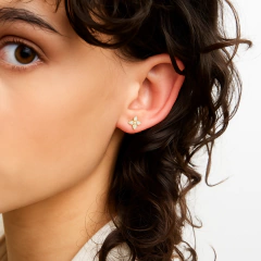 Aros Blossom Flor Plata 925 en internet