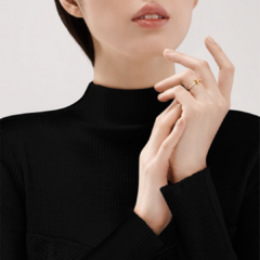 Anillo TT 1 Fino Unisex Acero Dorado - Il Gioiello 