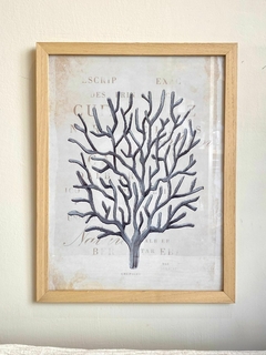 Cuadro 33x43