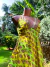 Vestido Seda • Sintonia