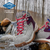 Botas Trekking Mujer Columbia Newton Impermeables - comprar online
