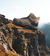 Imagen de Botas Trekking Hombre Nexxt Redeem Pro Impermeables