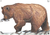 Set de 14 animales 2D Maple - tienda online