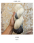 HAIIRO | Línea Wabi | Bespoke Yarns - Budetex