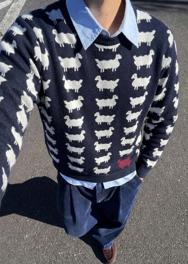 15215 Sweater sheep