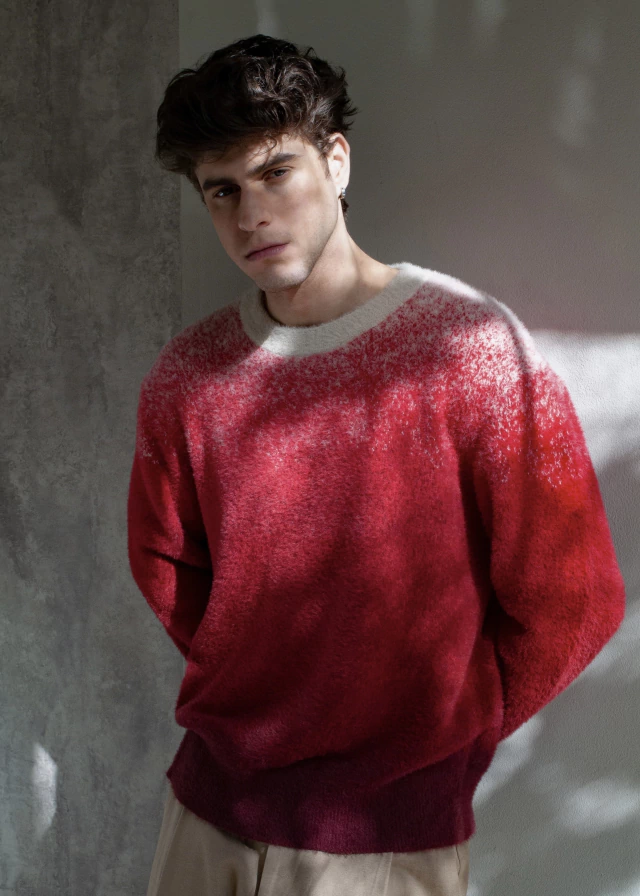 Sweater hidden Garden Burgundy — imagen 5