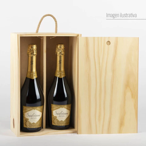 Estuche para 2 botellas de champagne atípico (No incluye botellas) - comprar online