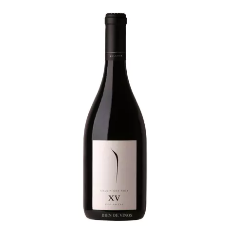 Pulenta Estate Gran Pinot Noir - comprar online