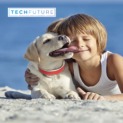 Collar Rastreador integrado GPS 2G mascotas