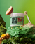 Supergreens Suplemento - Diabla - Botane | Cosmética Saludable