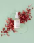 SERUM FACIAL con extracto de Granada- Landa Cosmeticos - comprar online