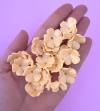 Aplique Flor Porcelana Fria Biscuit 2,5cm Mod24 (un) na internet