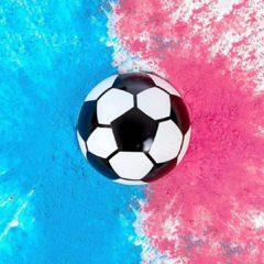 Pelota Revelación x1