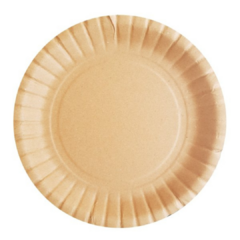 Plato kraft x10