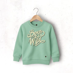 BUZO RÚSTICO VERDE MENTA SIN CAPUCHA WILD NIÑO - comprar online