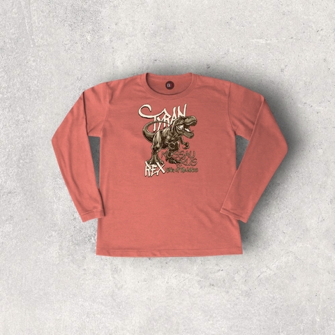 REMERA ALGODON MANGA LARGA TERRA SAURUS NIÑO Y BEBE - comprar online