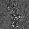 DR096