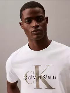 Remera Calvin Klein Hombre en internet